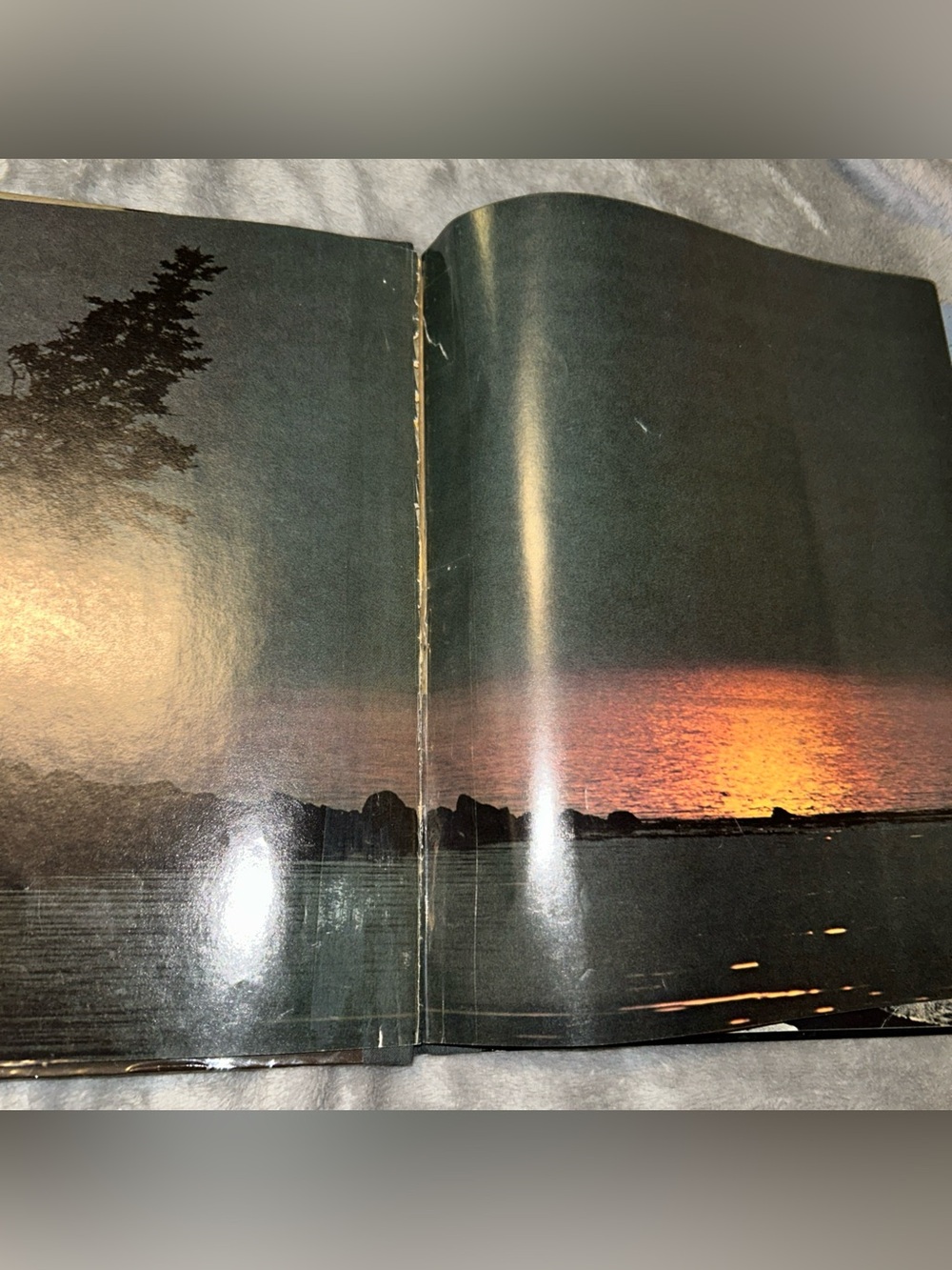 Time Life Books The Northeast Coast American Wilderness 1973 Vintage Hardcover - Picture 2 of 15